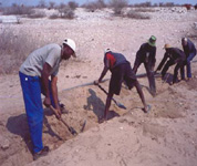 Volunteers digging trenches for pipes from the new borehole